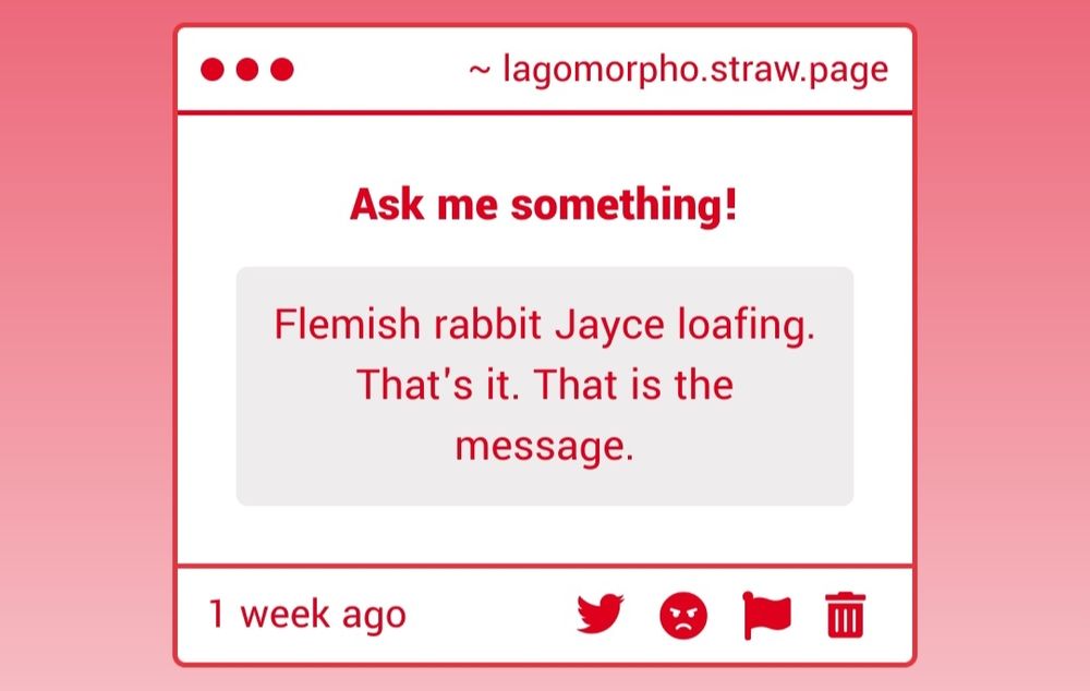 Strawpage ask: Flemish rabbit Jayce loafing. That's it. That is the message.