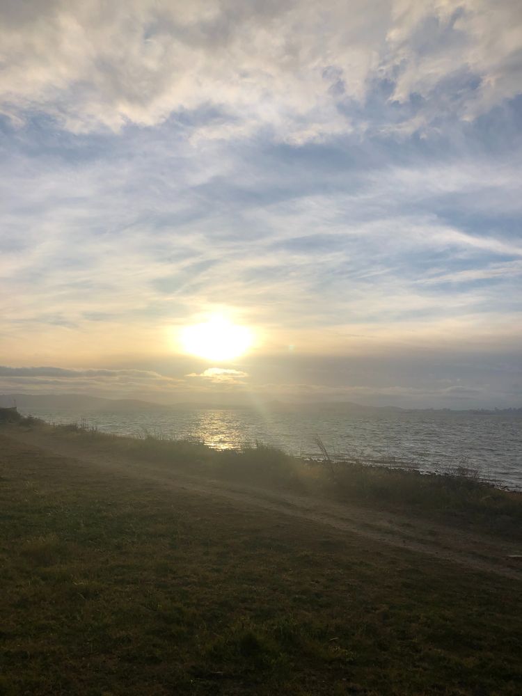 Sunset over the Pacific Ocean from a grassy shoreline.