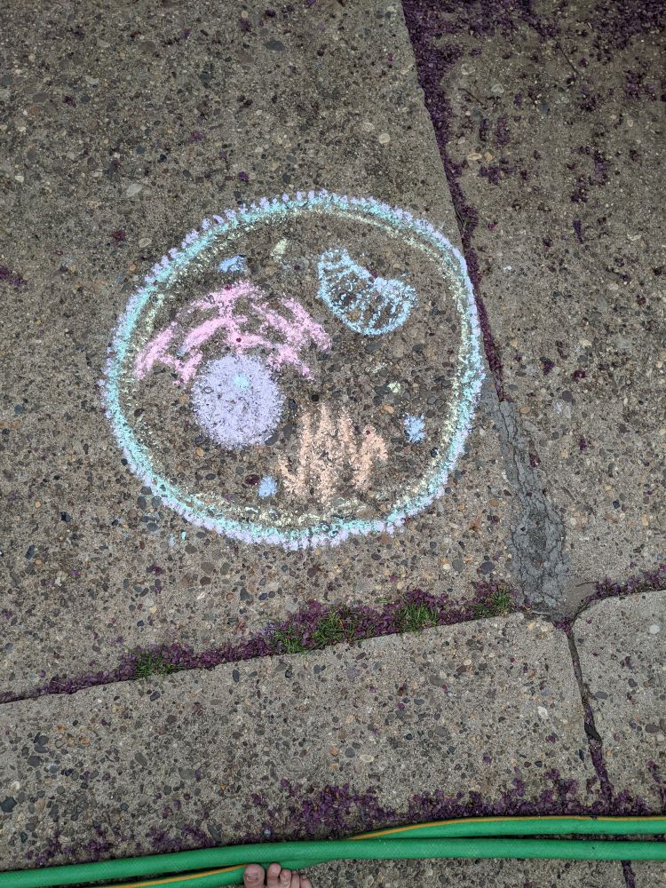 A chance of sidewalk with a green-membraned eukaryotic cell with organelles including , but not limited to: a blue mitochondria, a purple nucleus, pink rough endoplasmic reticulum, an orange Golgi apparatus etc there are some toes (of the photographer) at the bottom of the frame