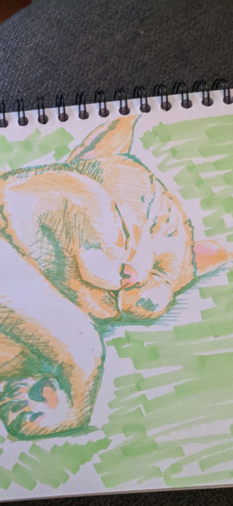 Hey close-up of a drawing notebook. In the colors green orange and pink there is a sleeping cat face, she is laying on her side body,with a silly little awkward paw folded under 
