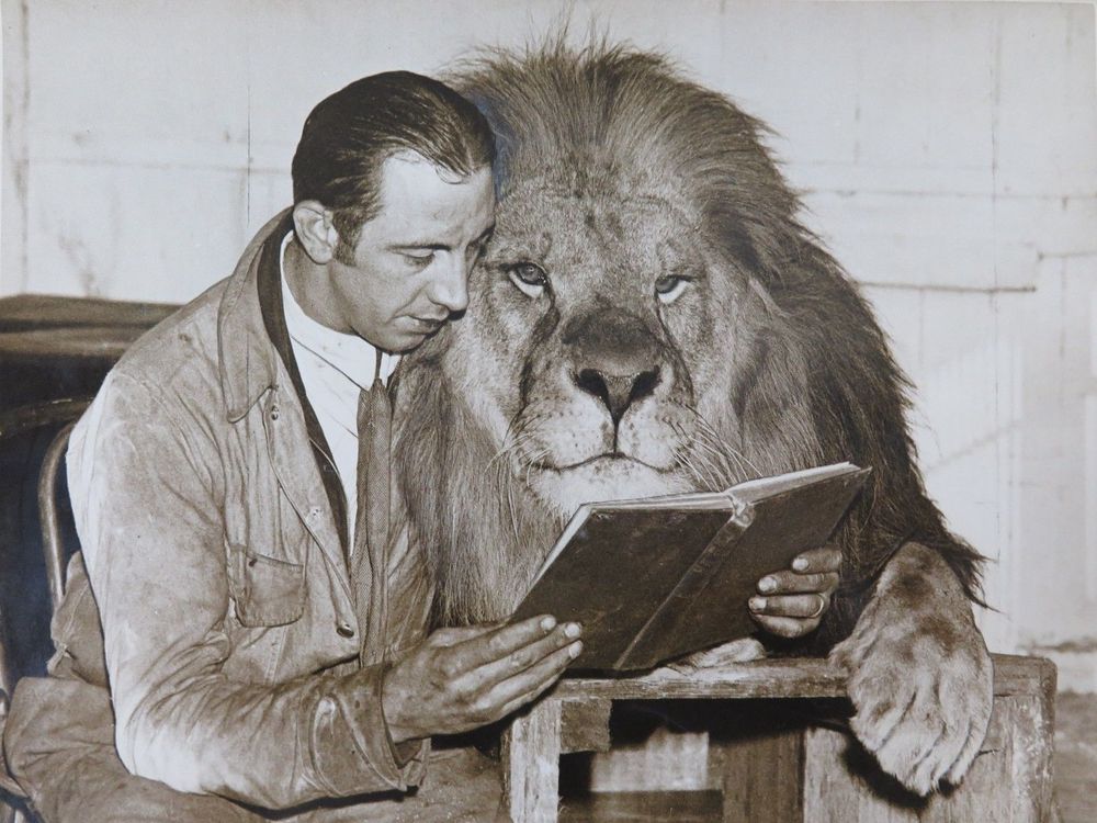 Man reads to a lion
