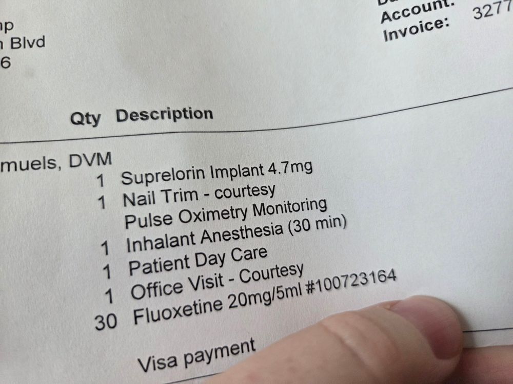Partial shot of an itemized vet invoice. Top one says "Suprelorin Implant"