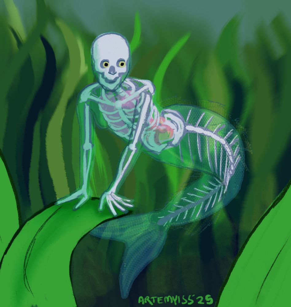 Digital painting of a mermaid among seaweed. She's inspired by the glass fish, so her body is transparent, and you can see her skeleton and organs as well as the seaweed behind her. 