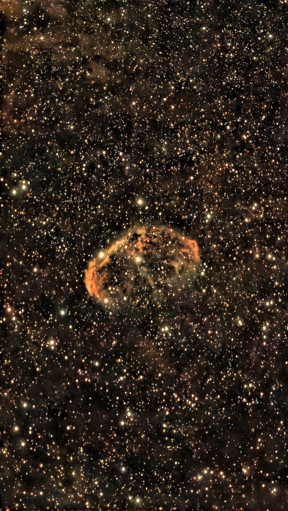 Night sky telescope image of filamentous orange Crescent Nebula in dense field of stars.