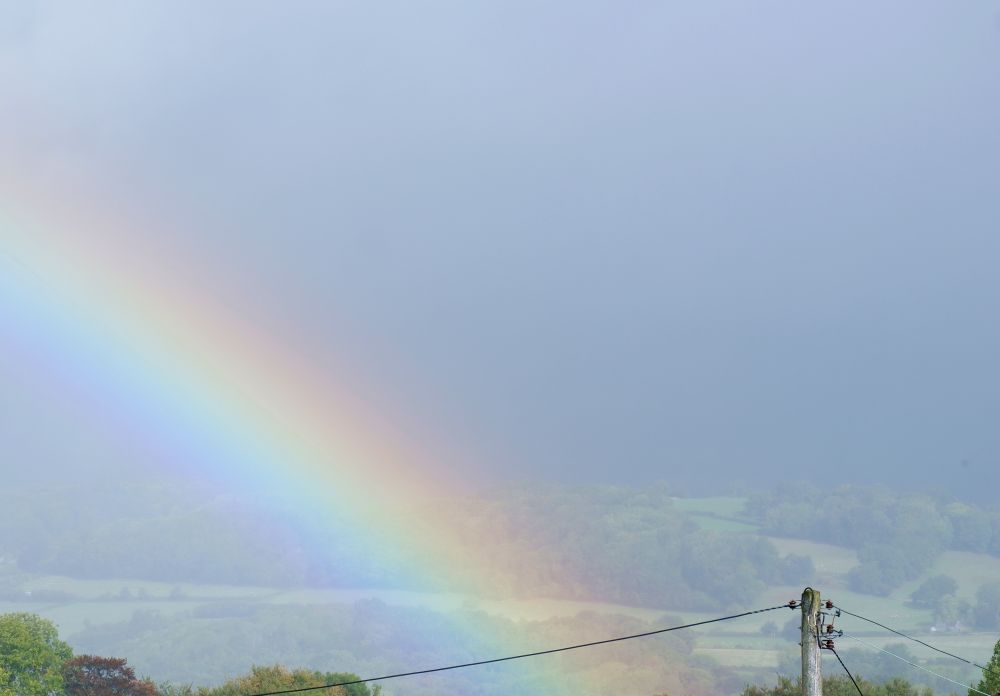 Rainbow outside my window.