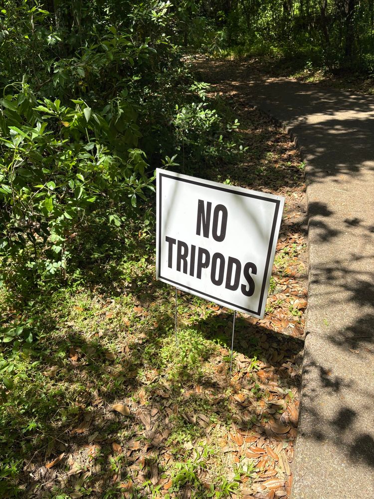 A white yard sign with black letters reads “No Tripods” and is stuck in the ground next to a concrete path on one side and shrubby, green vegetation on the other side 