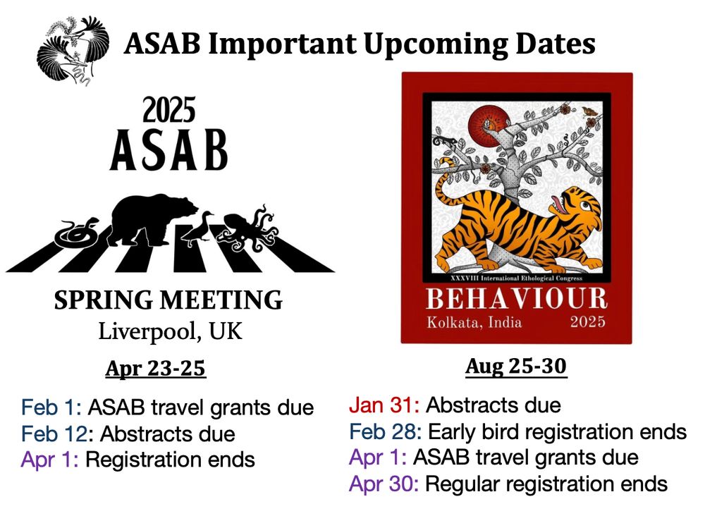 
ASAB Important Upcoming Dates
Logo of animals crossing the street as in the Beatles Abbey Road
2025 Asab SPRING MEETING Liverpool, UK
Apr 23-25
Feb 1: ASAB travel grants due
Feb 12: Abstracts due
Apr 1: Registration ends
Logo of a stylised tiger looking up at a tree and sun
Behaviour Kolkata India 2025 Aug 25-30
Jan 31: Abstracts due
Feb 28: Early bird registration ends
Apr 1: ASAB travel grants due
Apr 30: Regular registration ends
