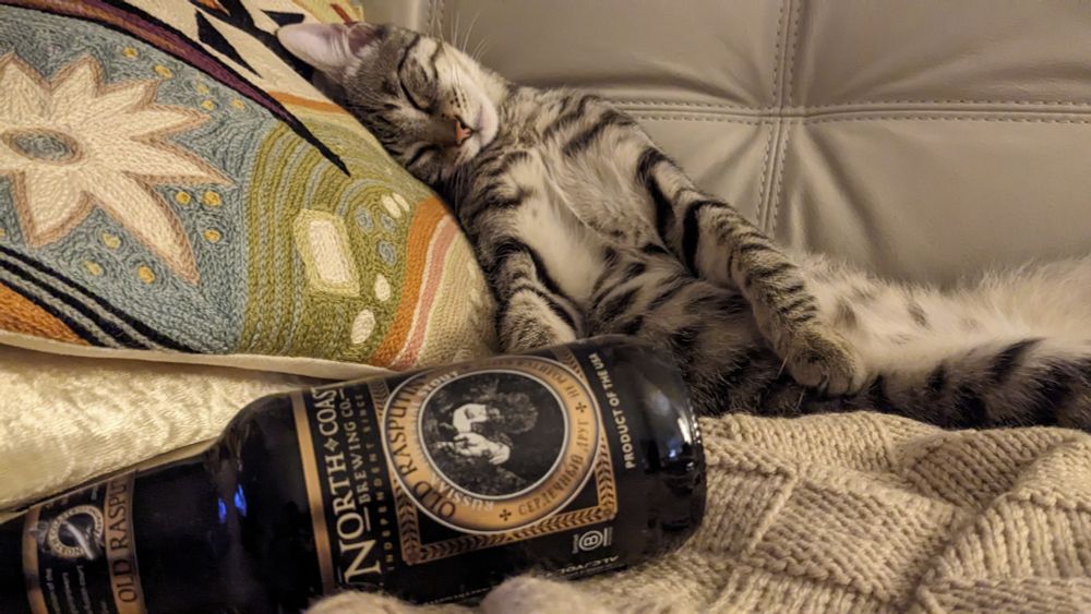 A picture of Jaeger the kitten who is zonked out on the couch as if he's drunk after drinking too much beer, because there's a beer bottle in the foreground of this picture.