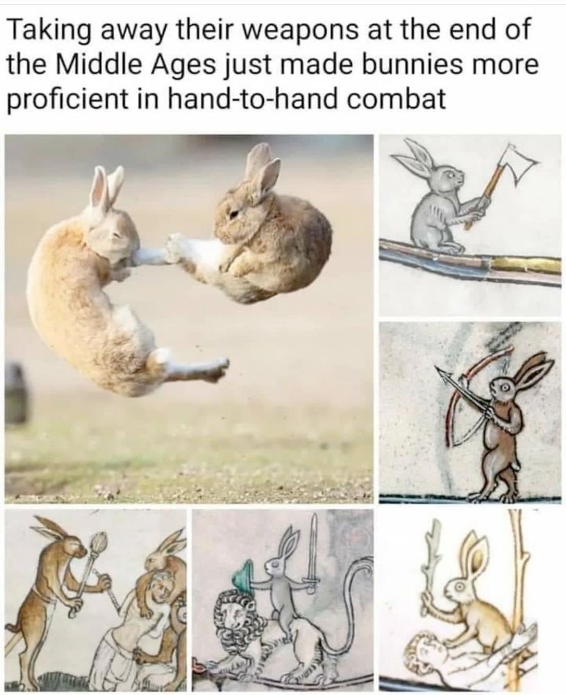 Caption reads "Taking away their weapons at the end of the Middle Ages just made bunnies more proficient in hand-to-hand combat."  Photograph of one rabbit jump-kicking another followed by marginalia from medieval manuscripts showing rabbits using various medieval weapons such as swords and maces.
