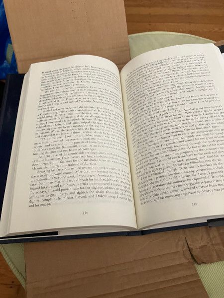 Interior pages of "A Man Named Baskerville"