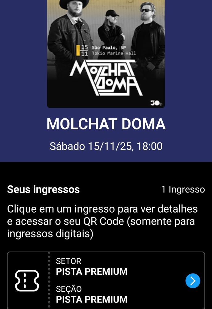 Ingresso para o show do Molchat Doma em SP