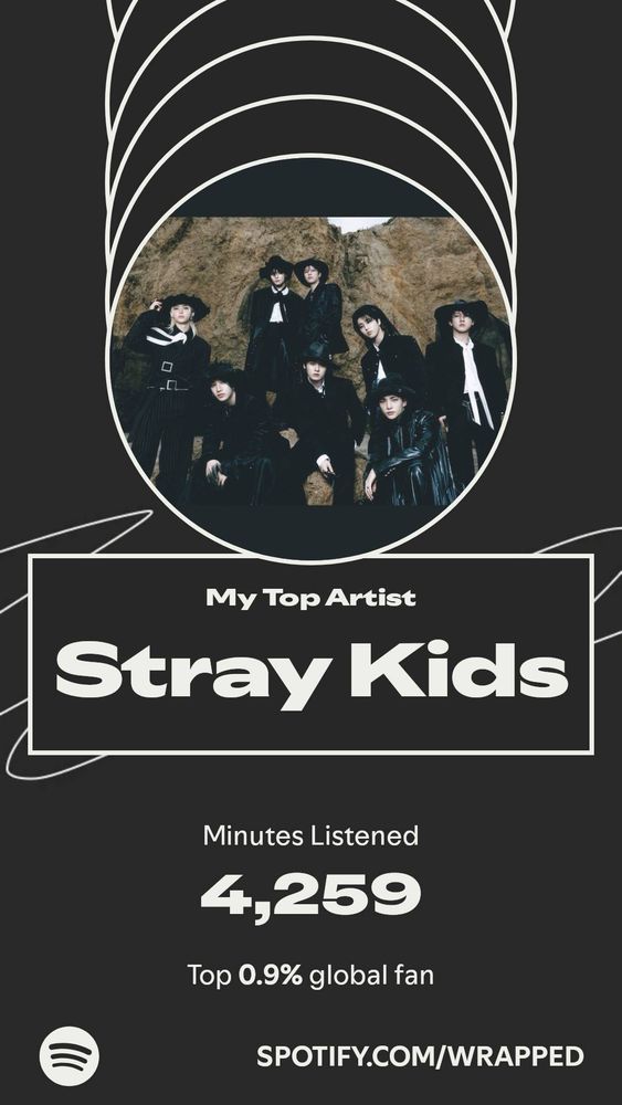 my top artist: skz