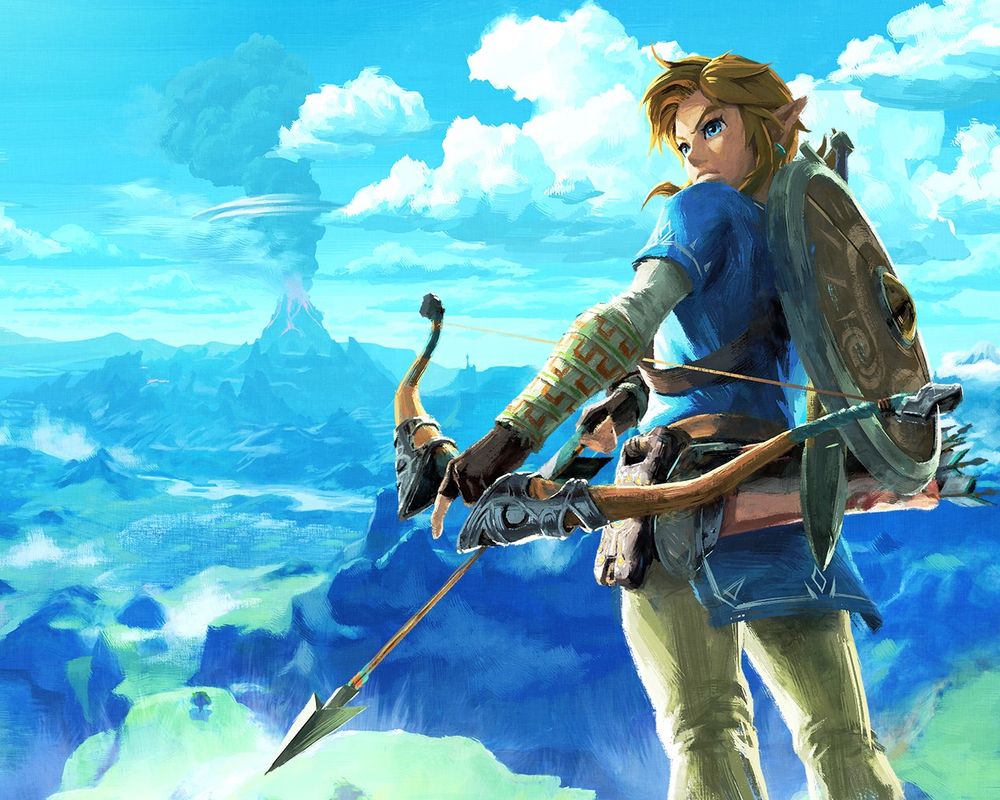 Link from Legend of Zelda (specifically Breath of the Wild/Tears of the Kingdom)