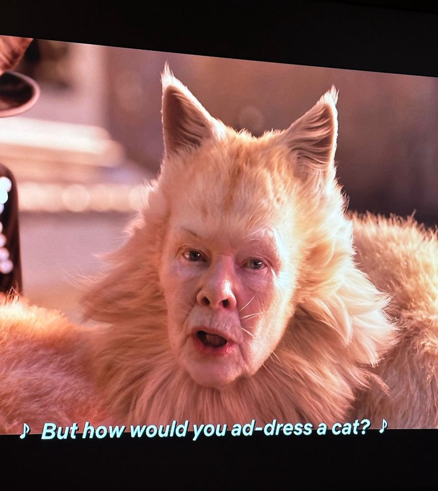 Dame Judi Dench as Old Deuteronomy addressing the camera directly and asking “But how would you address a cat?” 