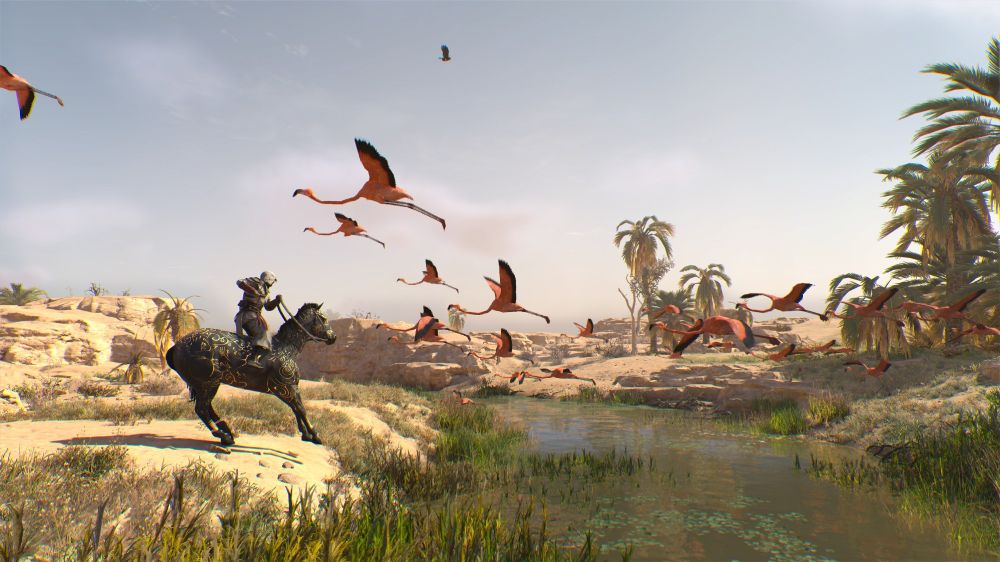 Bassim on a horse by the river with flying pink flamingos.