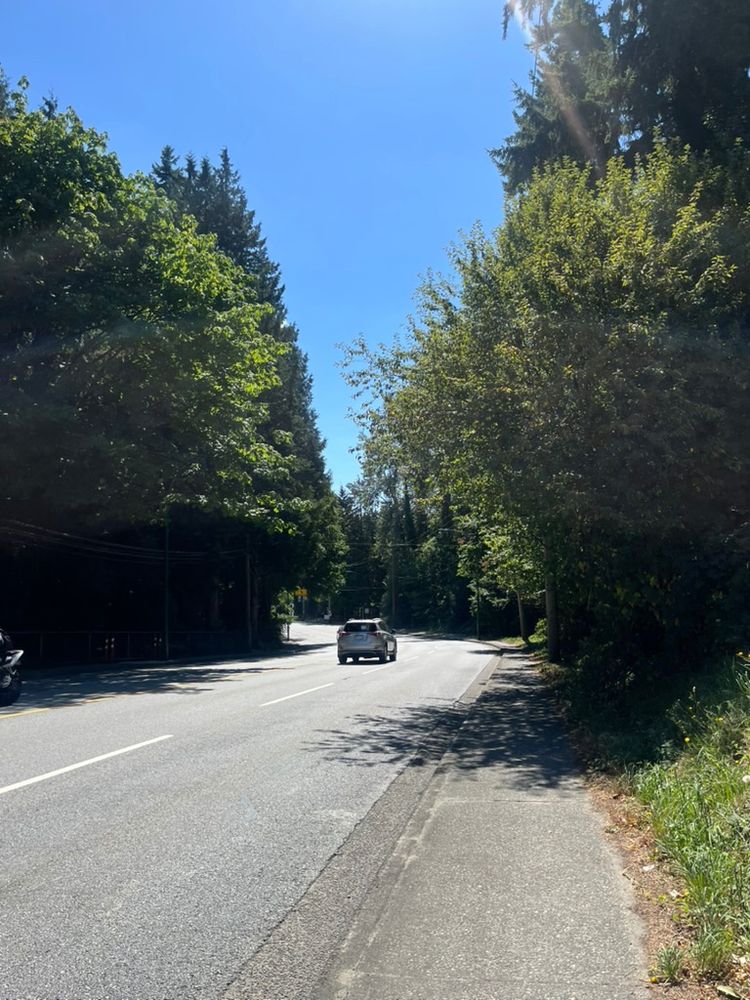 Tree-lined street (Canada Way) with a car driving away