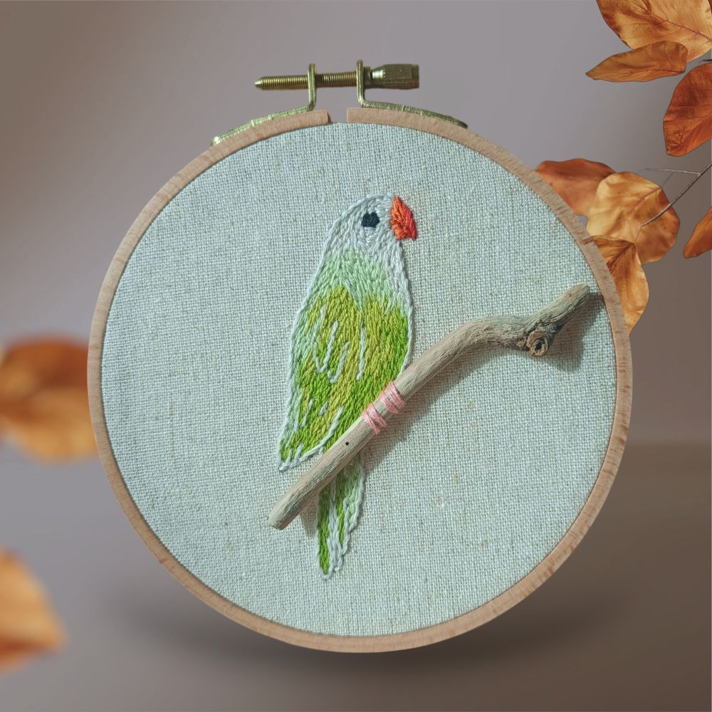 Perruche broder en degradé de vert sur sa vrai branche de bois