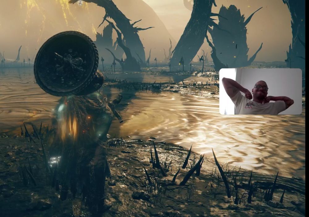 The sunflower is dead