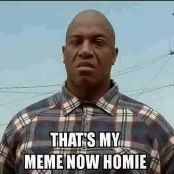 Meme. 
Text: 
That's my meme now, Homie. 