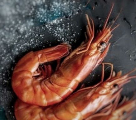 Picture of some cooked shrimp.