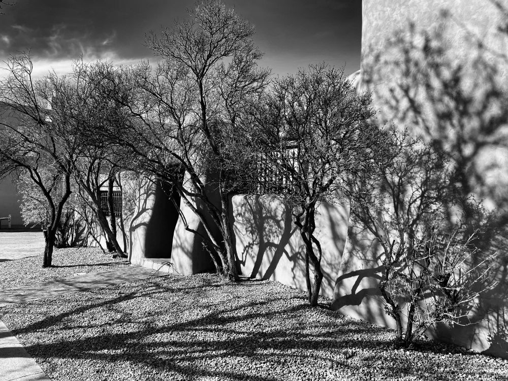 Santa Fe Museum of Art 
Santa Fe Photo 