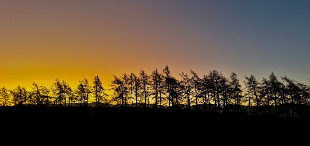 Sun rise over the tree lined bank of the River Spey in Aviemore