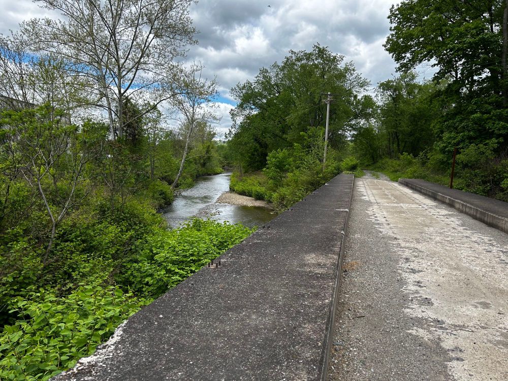 A photo from a small concrete bridge over looking greenery and a stream, mostly cloudy sky