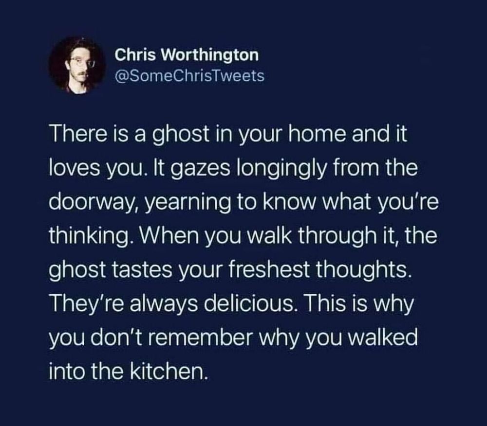 The ghost in your house loves you and tastes your thoughts when you walk through it, which is why you don’t remember why you walked into the kitchen 