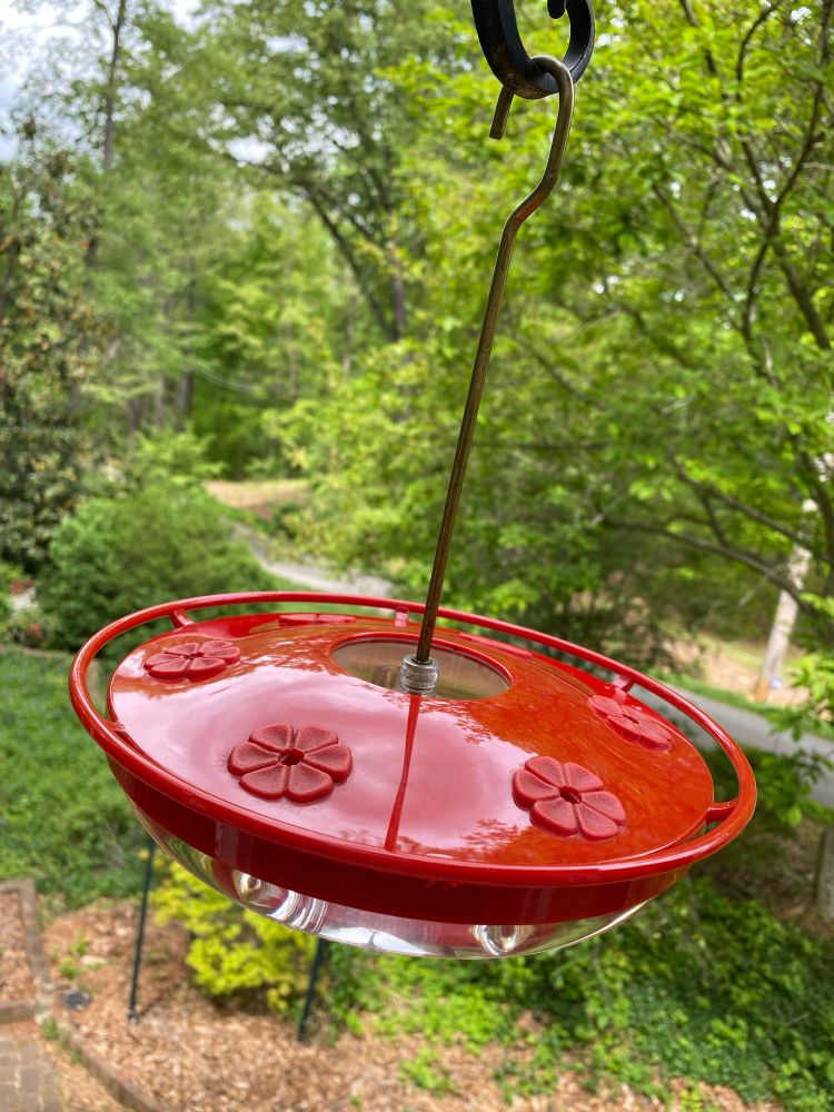 A red hummingbird feeder, freshly filled with sugar water, hangs above a garden awaiting the first hummingbirds of the season.