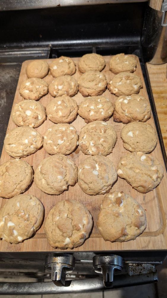 23 Root Beer Pudding Cookies with white chocolate chips (and no macadamian nuts)