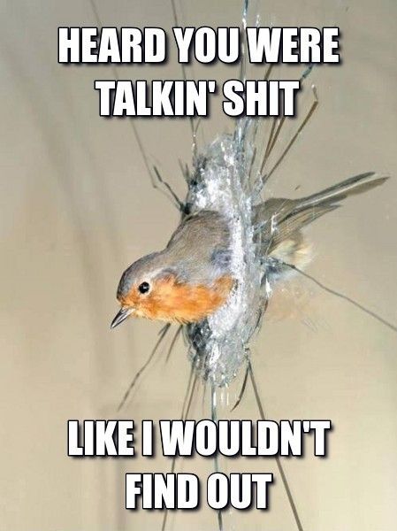 Comment image
