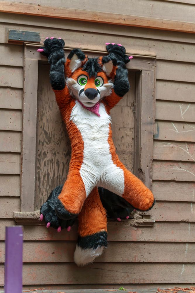 In my full fursuit, perched on the deteriorated window sill of a shack in the woods