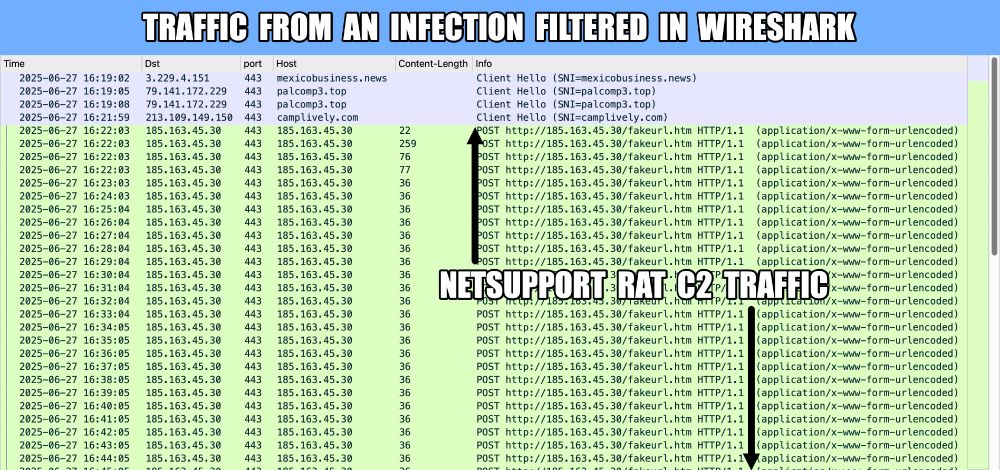 Traffic from the infection filtered in Wireshark, showing the NetSupport RAT C2 traffic.