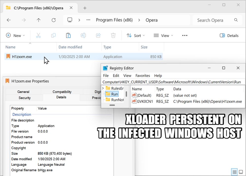 XLoader persistent on the infected Windows host through a Windows registry update.