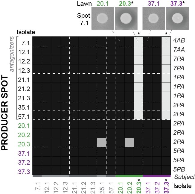 Heat map with two samples highlighted that differ from the rest
