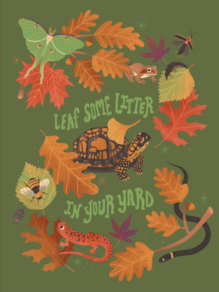 An illustration that says "leaf some litter in your yard" that shows and bunch of leaves and creatures that use those leaves for their habitat. Creatures featured: Luna moth, wood frog, firefly (with larvae), Eastern box turtle, American bumblebee, isopod, red salamander, ring necked snake