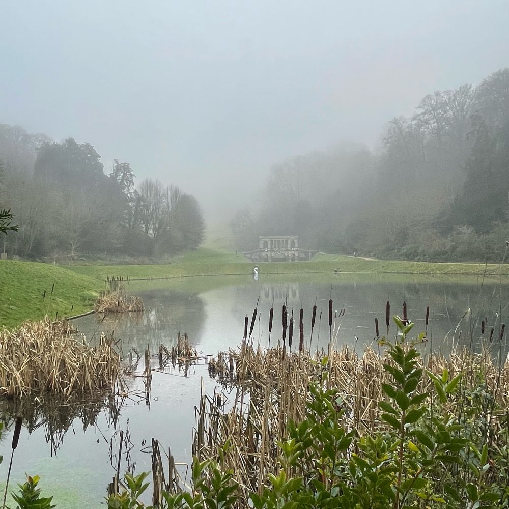 Palladian bridge at Prior park in the distance surrounded in mist, reeds in the foreground 