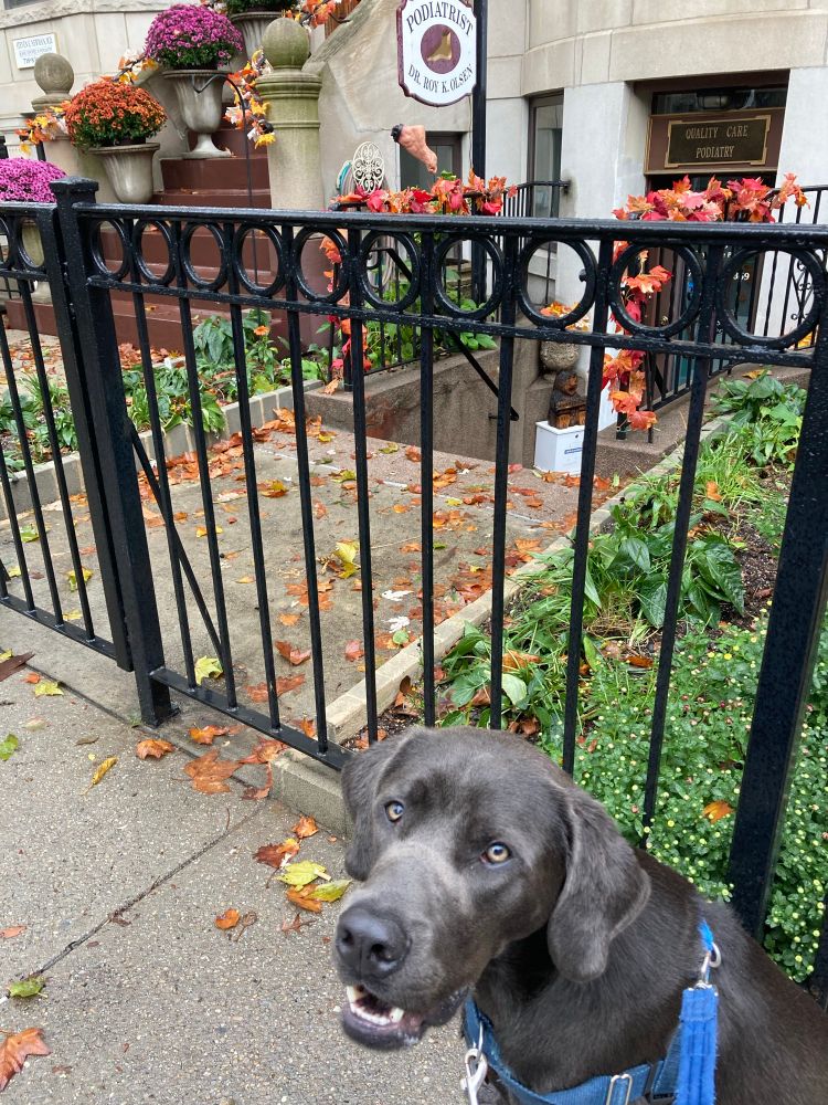 Jules posing for the camera