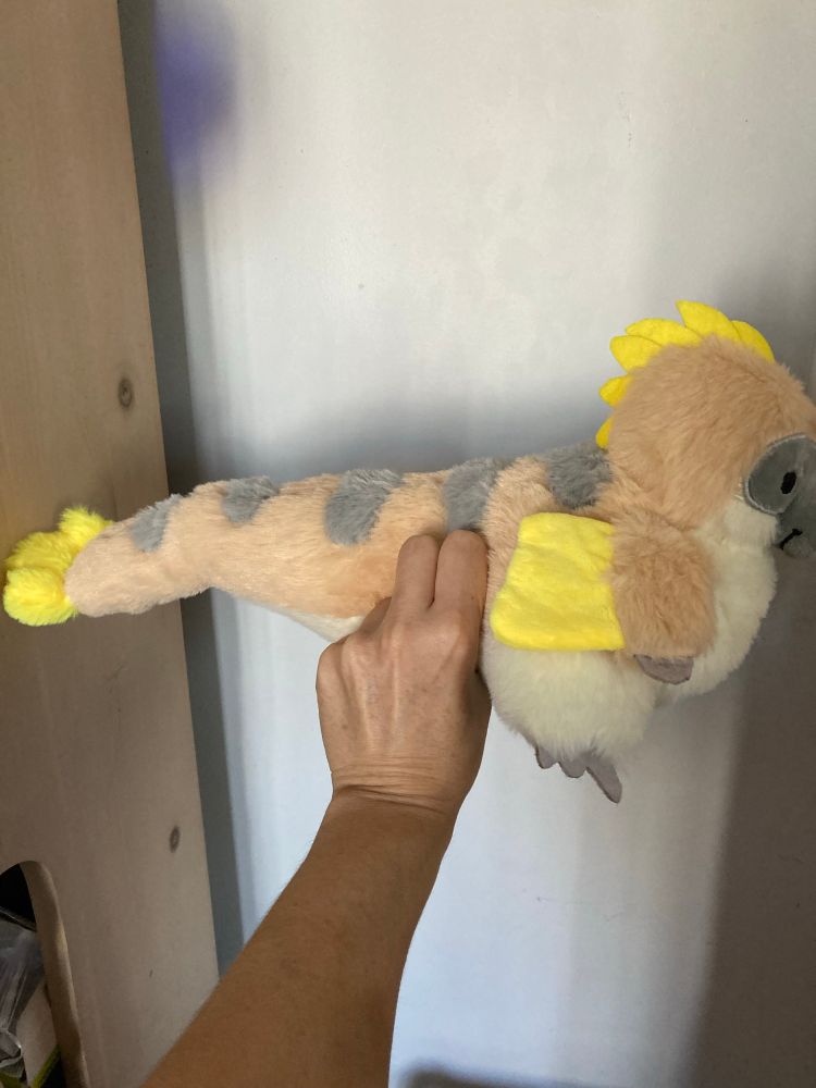 Side profile of my Utahraptor plush. You can see the brown fur, yellow wing feathers and tail feathers plus the grey spots on the back.