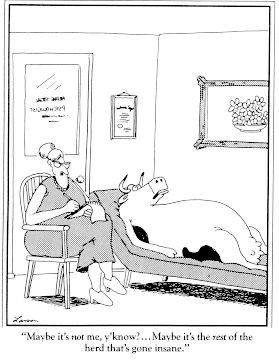 Gary Larsen Farside cartoon: "Maybe it's the rest of the herd that's gone insane."