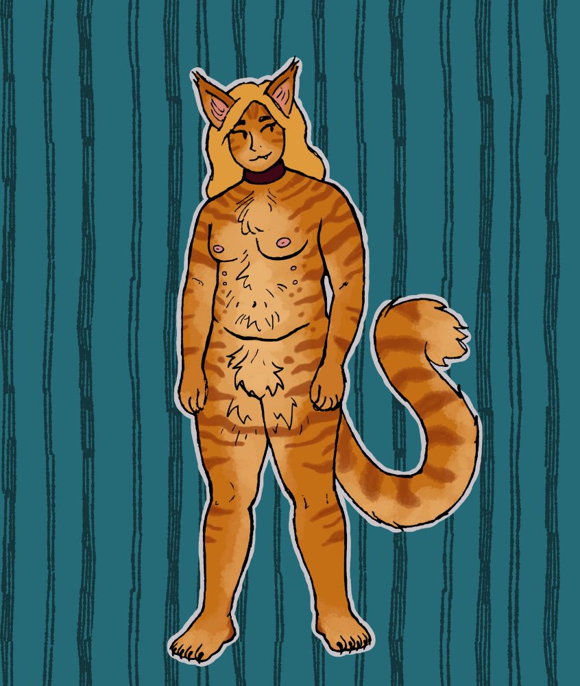 Drawing of a fluffy orange tabby trans cat boy with long blond hair. He is wearing a collar and has a fuzzy tummy and six nipples.