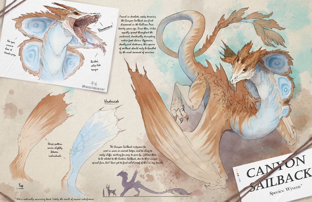 A field journal entry for the dragon from the previous image, called a Canyon Sailback. There is a full-body drawing to the right hand side, with two wing detail shots to the bottom-left, showing the brown top and blue underside of the limb. In the upper right his a head sketch of the dragon roaring in order to show off its many rows of teeth and barbed tongue. In the middle of the bottom is a size scale, comparing a human, a antelope type creature, and the Sailback