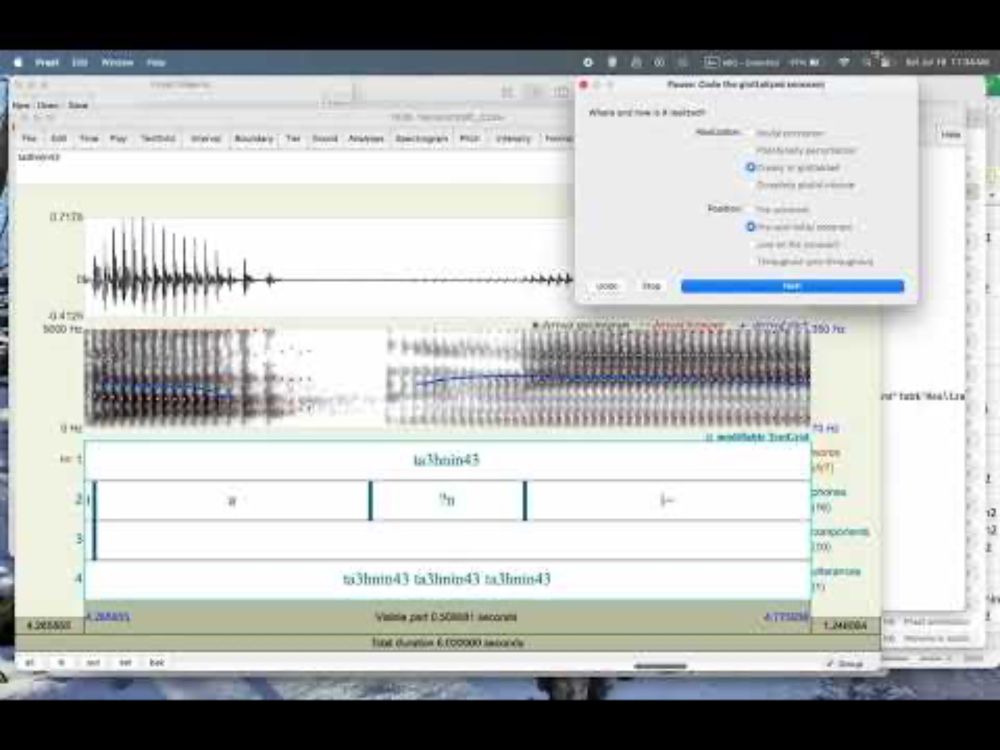Phonetic variant coding - glottalized sonorants