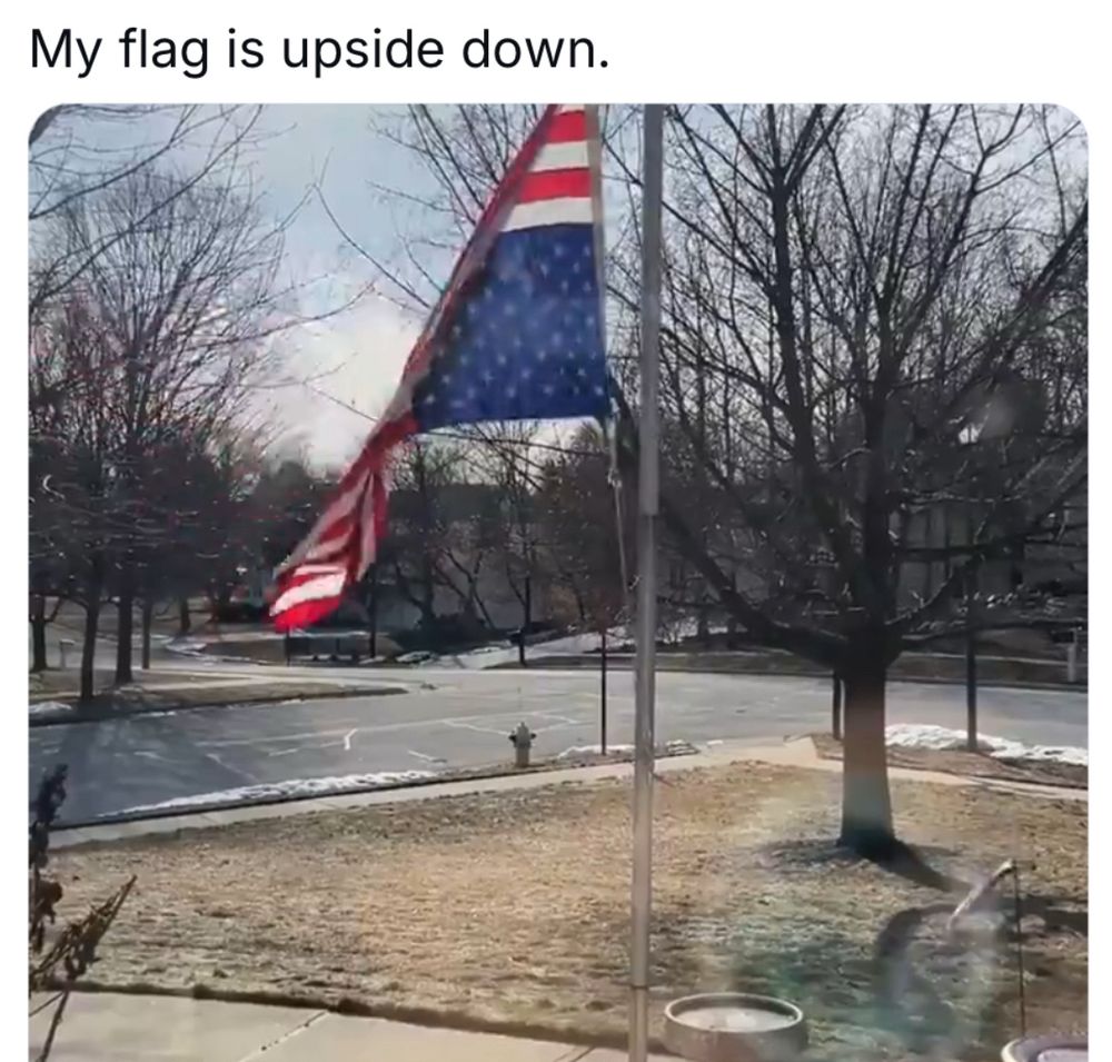 Comment image