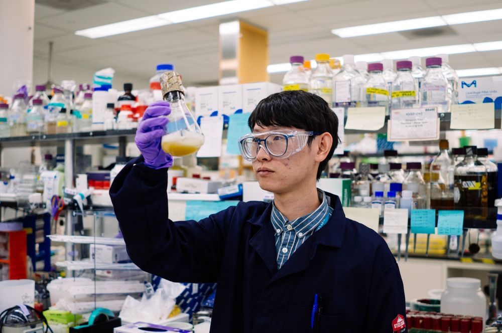 A researcher in safety glasses and gloves holds up a beaker with yellow fluid in it, examining its contents. 