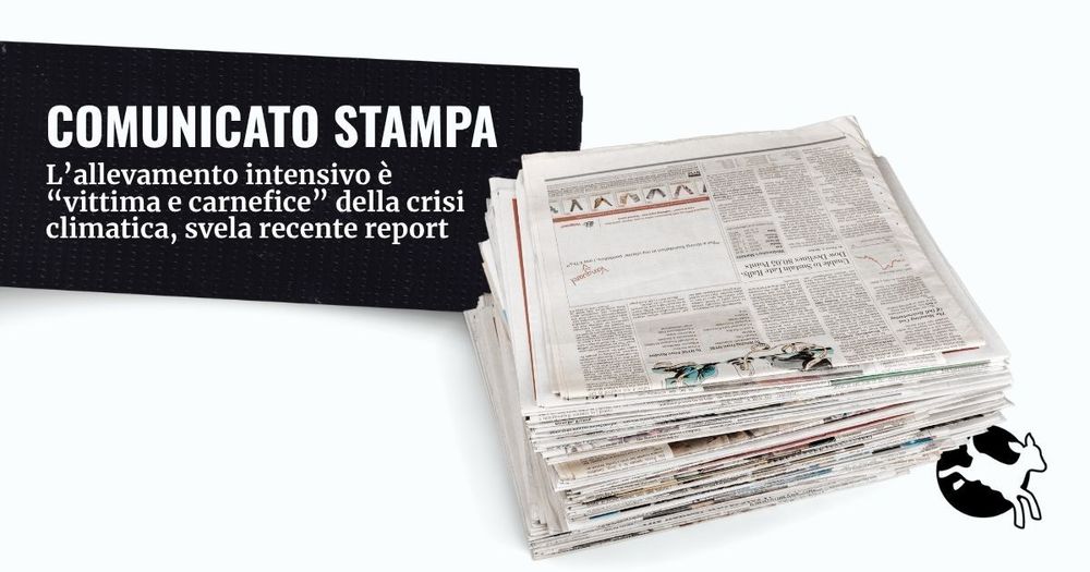 foto di un giornale, si legge il titolo di un comunicato stampa: L’allevamento intensivo è “vittima e carnefice” della crisi climatica, svela recente report