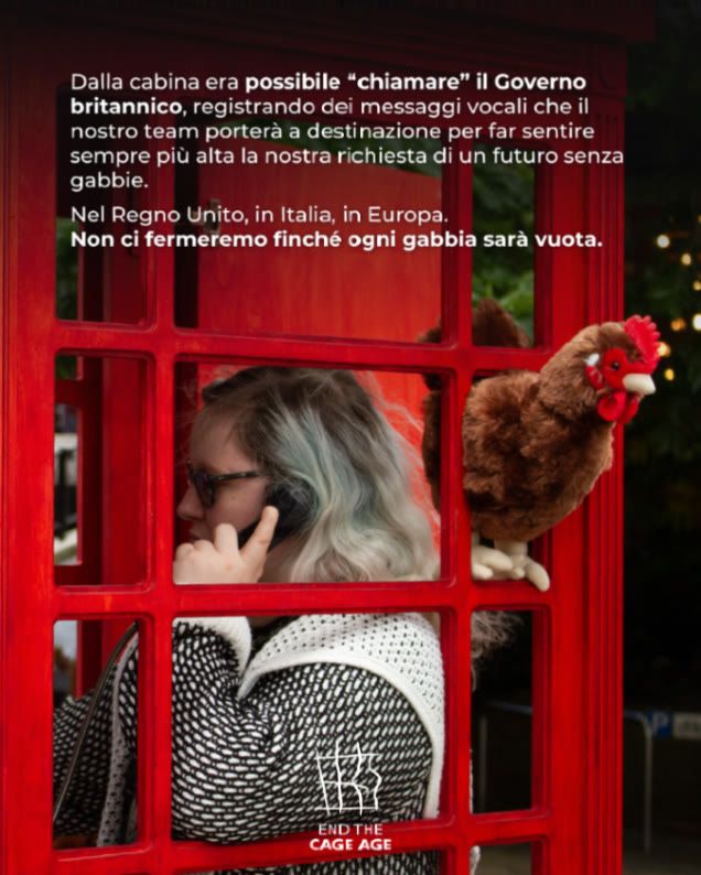 Dentro una cabina telefonica rossa c'è una donna che parla al telefono e il peluche di una gallina. Si legge: Dalla cabina era possibile “chiamare” il Governo britannico, registrando dei messaggi vocali che il nostro team porterà a destinazione per far sentire sempre più alta la nostra richiesta di un futuro senza gabbie. Nel Regno Unito, in Italia, in Europa. Non ci fermeremo finché ogni gabbia sarà vuota.