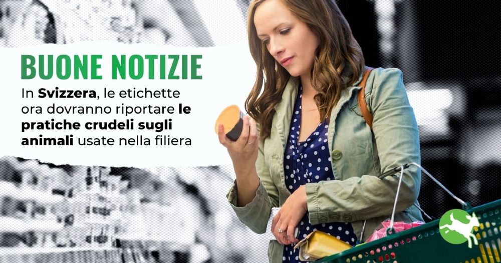 Una giovane donna scruta la etichetta di una confezione che tiene in mano. Si legge: buone notizie, in Svizzera, le etichette ora dovranno riportare le pratiche crudeli sugli animali usate nella filiera