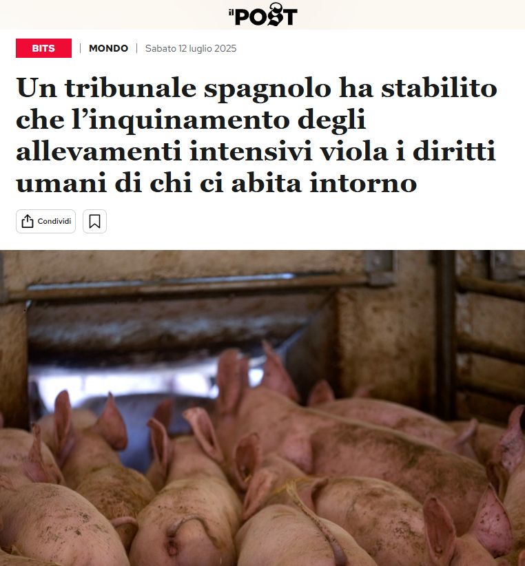schermata del sito il Post, si legge il titolo "Un tribunale spagnolo ha stabilito che l'inquinamento degli allevamenti intensivi viola i diritti umani di chi abita intorno" e si vede una foto di suini confinati in uno spazio chiuso