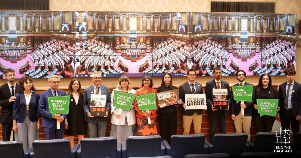 Attivisti e attiviste per gli animali al Senato con dei cartelli contro l'uso delle gabbie